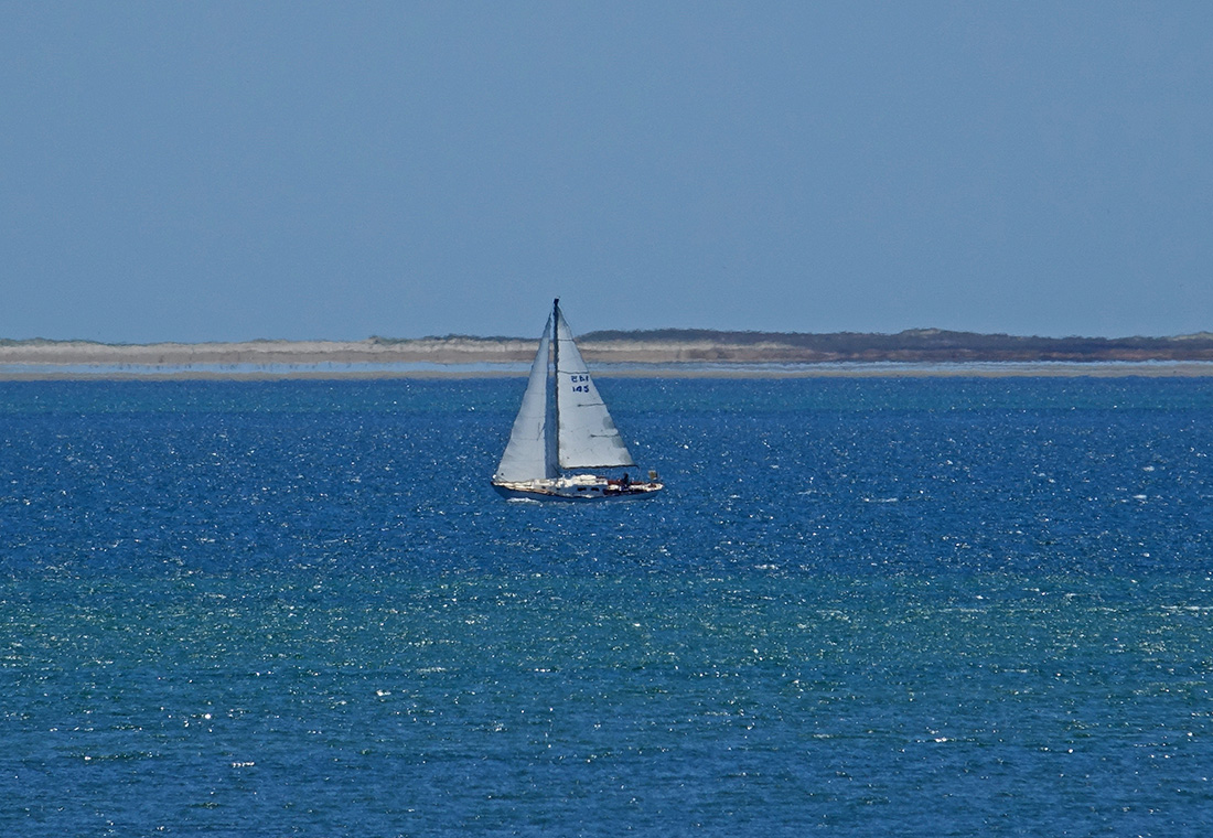 Cape Cod Photos of the Week of April 29!