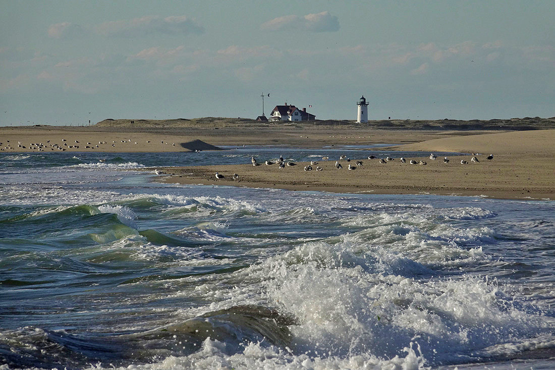 Cape Cod Photos of the Week of November!