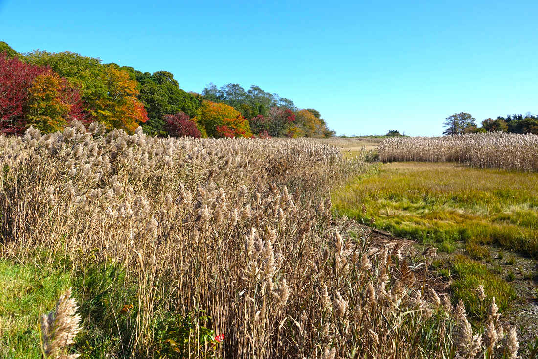 Cape Cod Photos of the Week of October 20th! - CapeCod.com