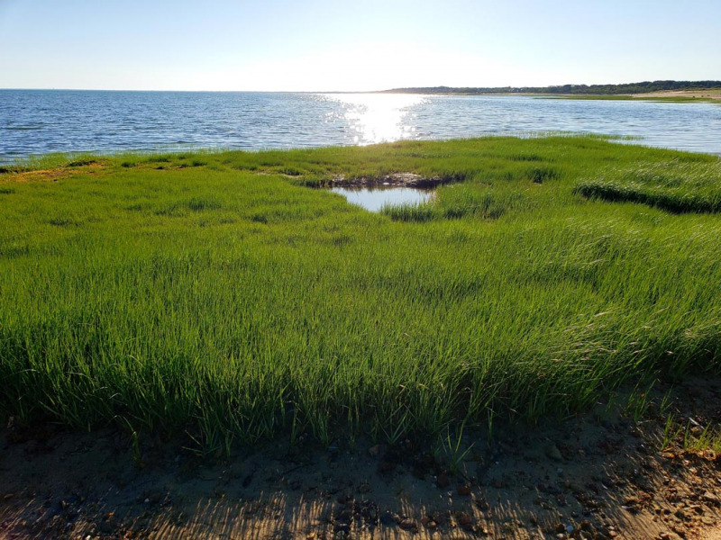 PHOTOS: Crowes Pasture Beach, Dennis - CapeCod.com