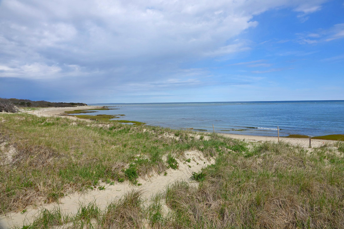 Crowes Pasture: A Picture Perfect Hike in Dennis! - CapeCod.com