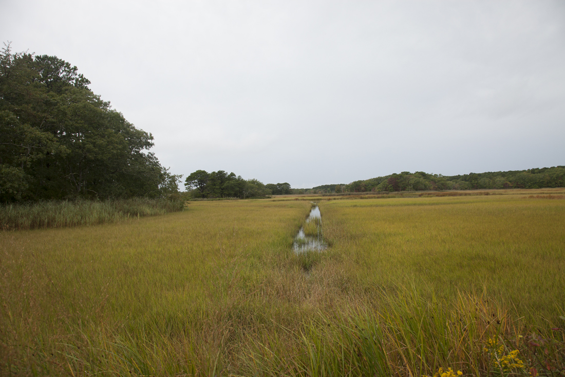 Exploring Harwich Serene Photos Along the Herring River