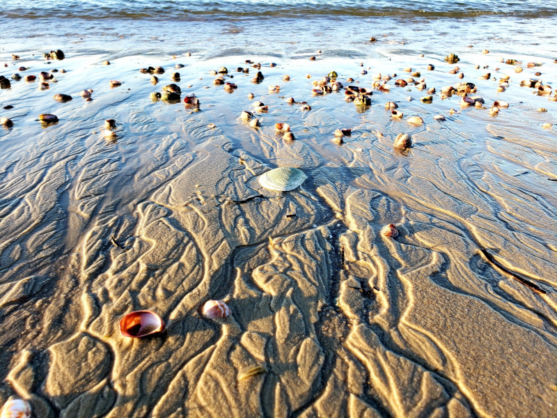 PHOTOS: Haigis Beach - CapeCod.com