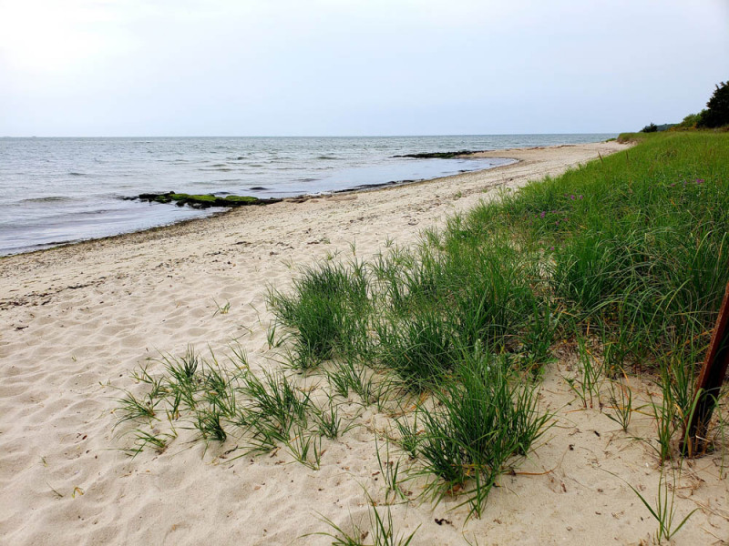 PHOTOS: An Overcast Day at Loop Beach in Cotuit - CapeCod.com