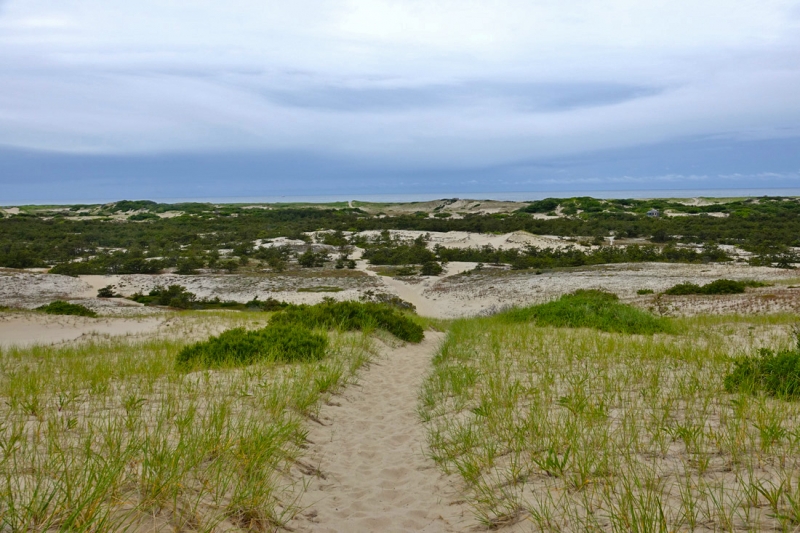 Provincetown Views: Amazing Colors In The Dunes! - CapeCod.com