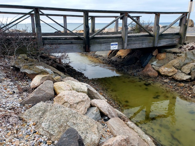 PHOTOS: Trunk River Beach - CapeCod.com