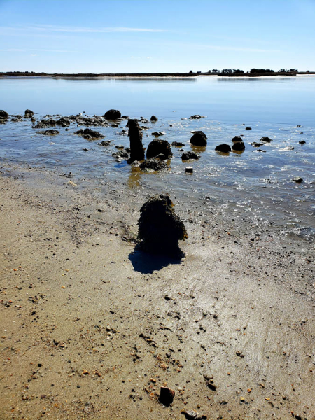 Photos Exploring Windmill Beach In Yarmouth