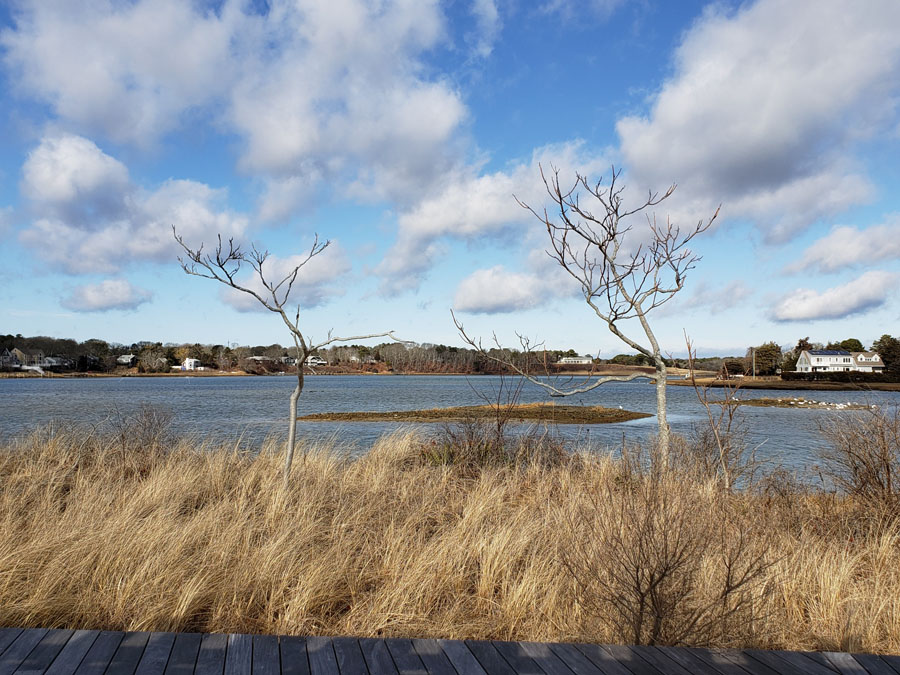 PHOTOS: Gorgeous Blue Skies at Bass River - CapeCod.com