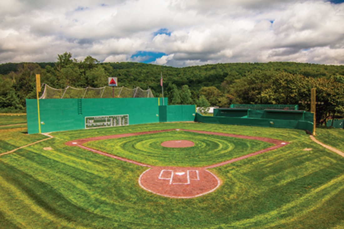 Fenway Park - McNamara • Salvia