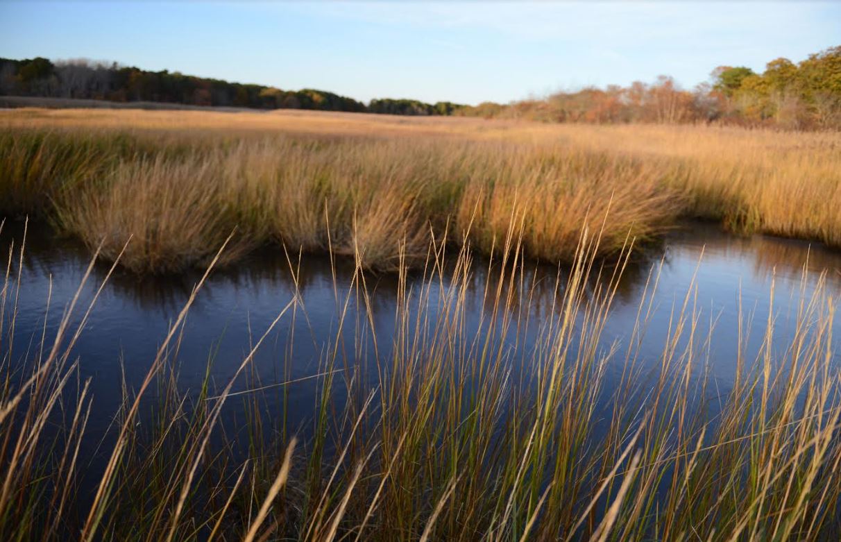 State of Wellfleet Harbor Conference Set For Saturday