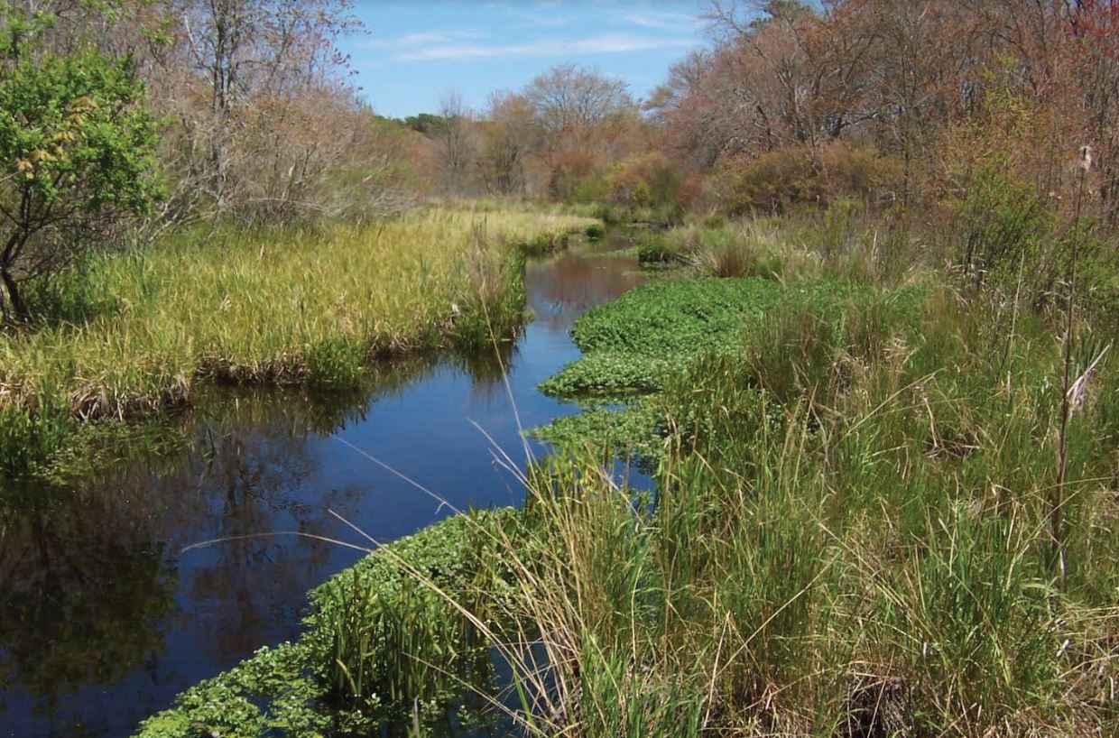 Friends Of Herring River Offering 'herring River Month' Festivities 