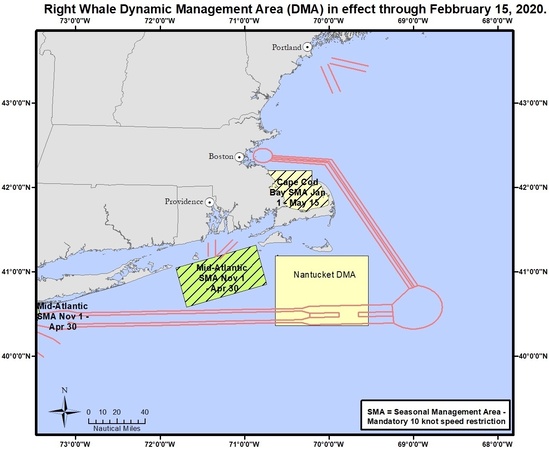 NOAA Extends Right Whale Speed Restriction Zone off Nantucket - CapeCod.com