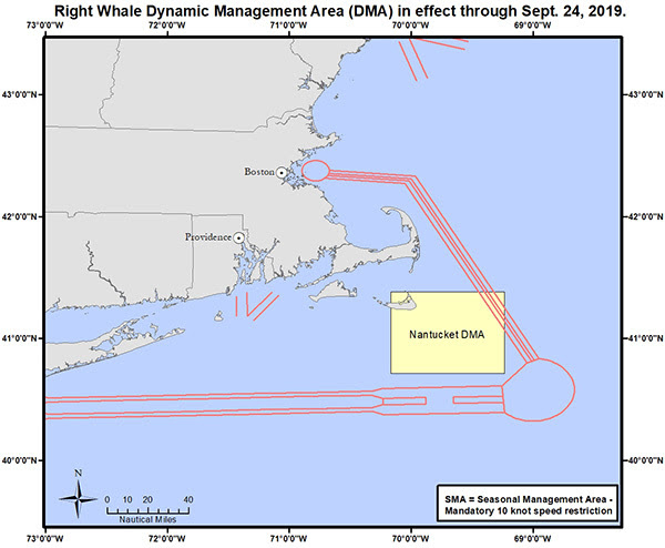 Right Whales Speed Restriction Zone Off Nantucket Extended - CapeCod.com