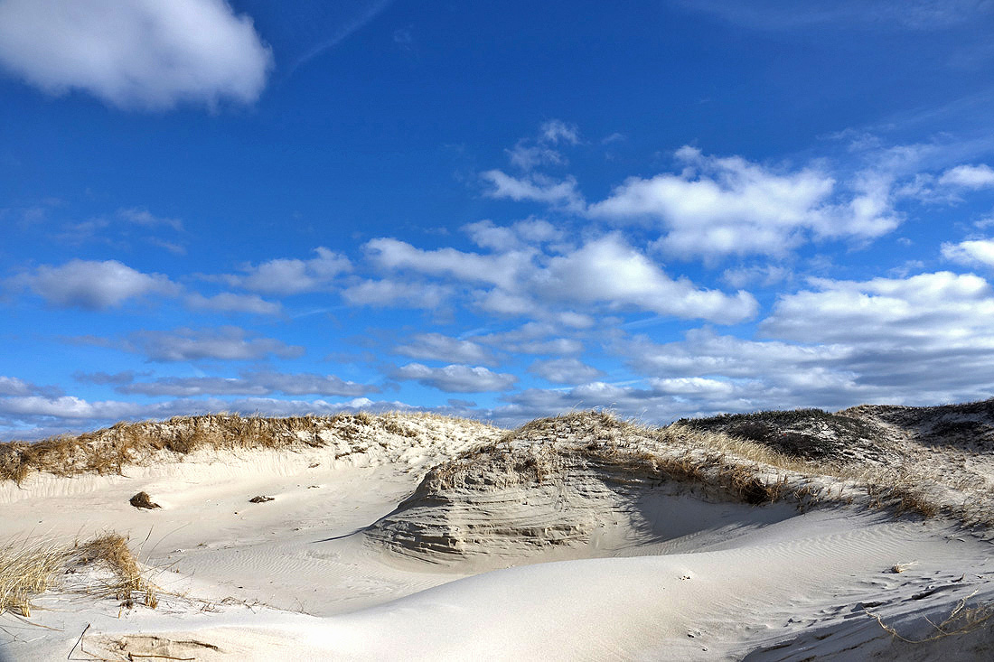 dennis-beach-transfer-station-sticker-sales-open-wednesday-capecod