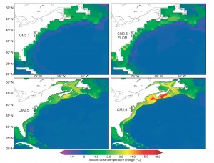 COURTESY OF NOAA Bottom temperature change among the four models.