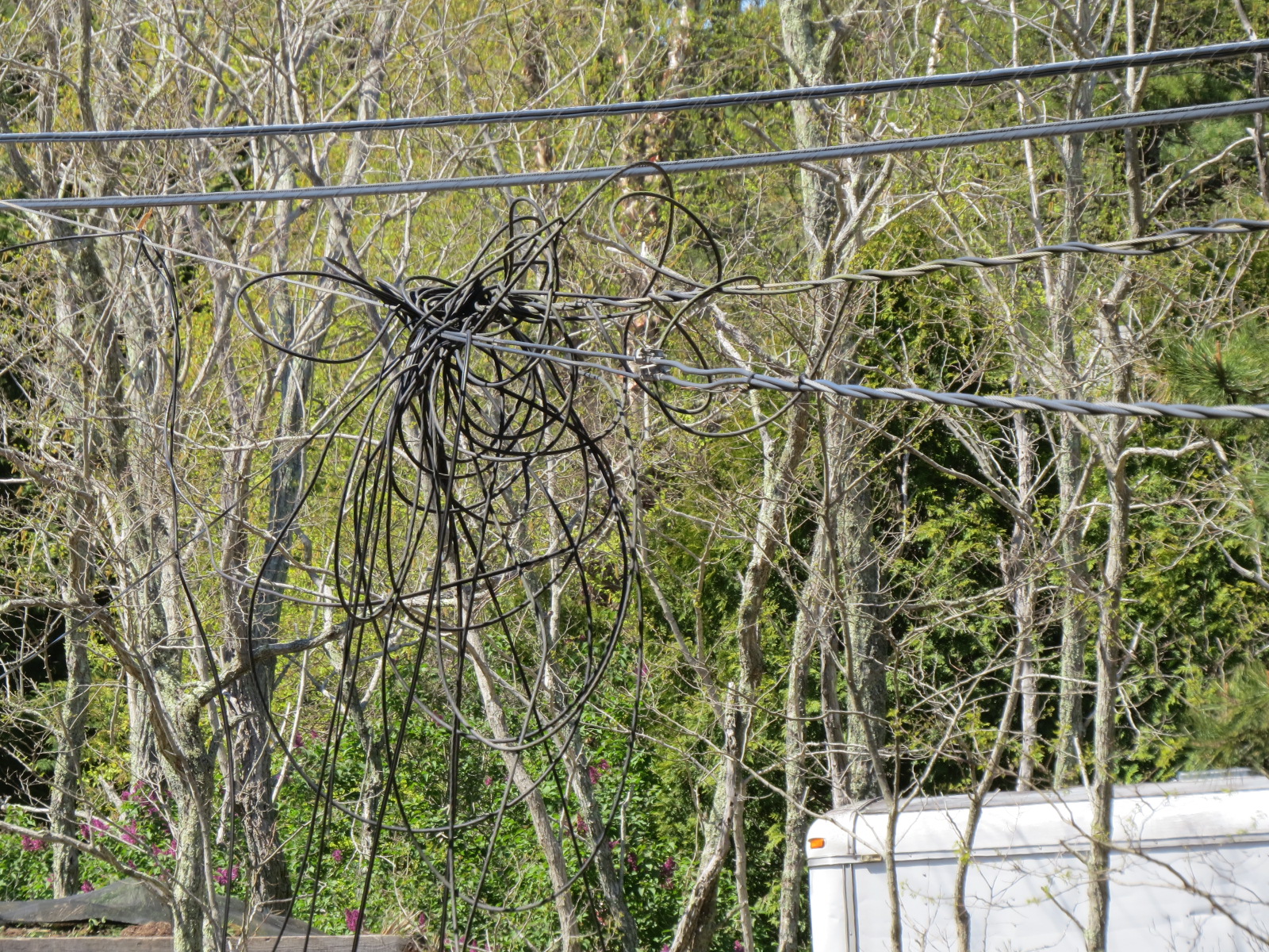 Video report: Cement truck driver trapped after snagging power lines in  Harwich - CapeCod.com