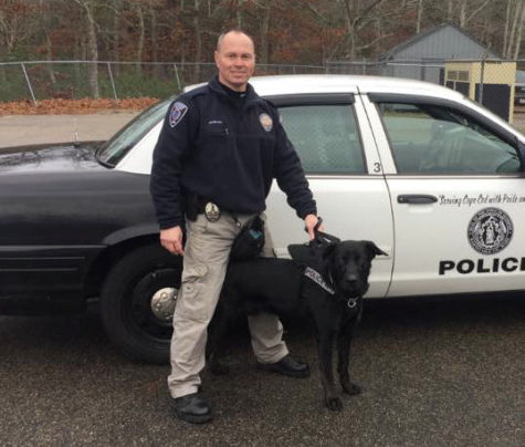 mashpee police k9 department welcome capecod release